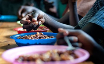 41 countries face triple threat of malnutrition, anaemia and obesity, FAO reports