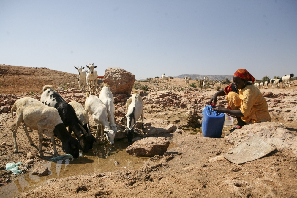 Somalia hopes to ensure that drought never turns to famine again